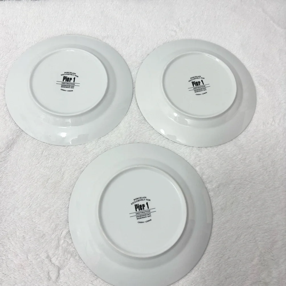 PIER 1 IMPORTS‎ 'DESTINATION' SALAD PLATES SET OF 3 - TROPICAL DESTINATIONS